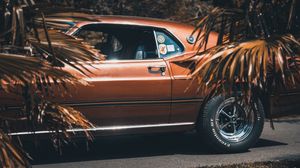 Превью обои ford mustang, 1969, вид сбоку, колесо