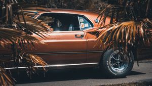 Превью обои ford mustang, 1969, вид сбоку, колесо