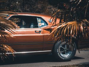 Превью обои ford mustang, 1969, вид сбоку, колесо