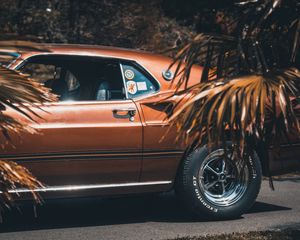 Превью обои ford mustang, 1969, вид сбоку, колесо