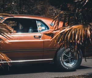 Превью обои ford mustang, 1969, вид сбоку, колесо