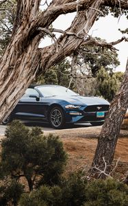 Превью обои ford mustang, ford, автомобиль, кабриолет, синий, деревья, ветки