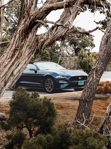 Превью обои ford mustang, ford, автомобиль, кабриолет, синий, деревья, ветки