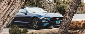 Превью обои ford mustang, ford, автомобиль, кабриолет, синий, деревья, ветки