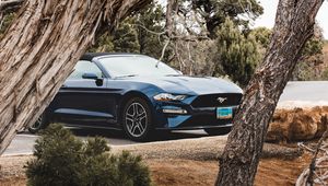 Превью обои ford mustang, ford, автомобиль, кабриолет, синий, деревья, ветки