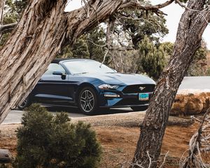 Превью обои ford mustang, ford, автомобиль, кабриолет, синий, деревья, ветки