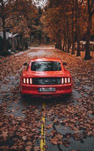 Превью обои ford mustang, ford, автомобиль, спорткар, красный, дорога, осень