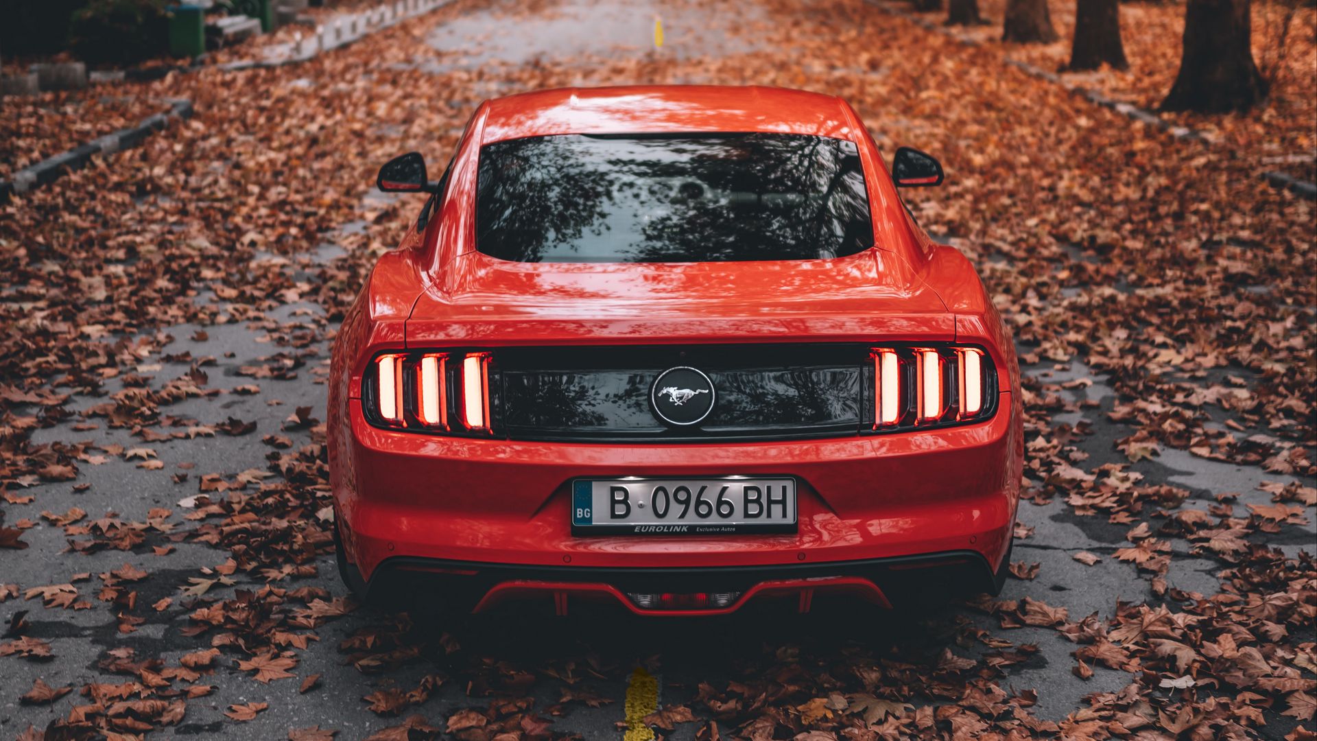 Red Mustang HD