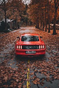 Превью обои ford mustang, ford, автомобиль, спорткар, красный, дорога, осень