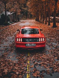 Превью обои ford mustang, ford, автомобиль, спорткар, красный, дорога, осень