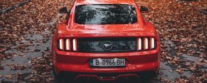 Превью обои ford mustang, ford, автомобиль, спорткар, красный, дорога, осень