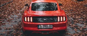 Превью обои ford mustang, ford, автомобиль, спорткар, красный, дорога, осень