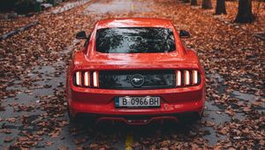 Превью обои ford mustang, ford, автомобиль, спорткар, красный, дорога, осень