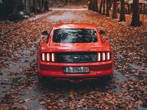 Превью обои ford mustang, ford, автомобиль, спорткар, красный, дорога, осень