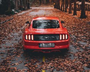 Превью обои ford mustang, ford, автомобиль, спорткар, красный, дорога, осень