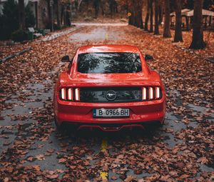 Превью обои ford mustang, ford, автомобиль, спорткар, красный, дорога, осень