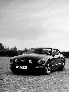 Превью обои ford mustang, ford, автомобиль, черный, поле, черно-белый