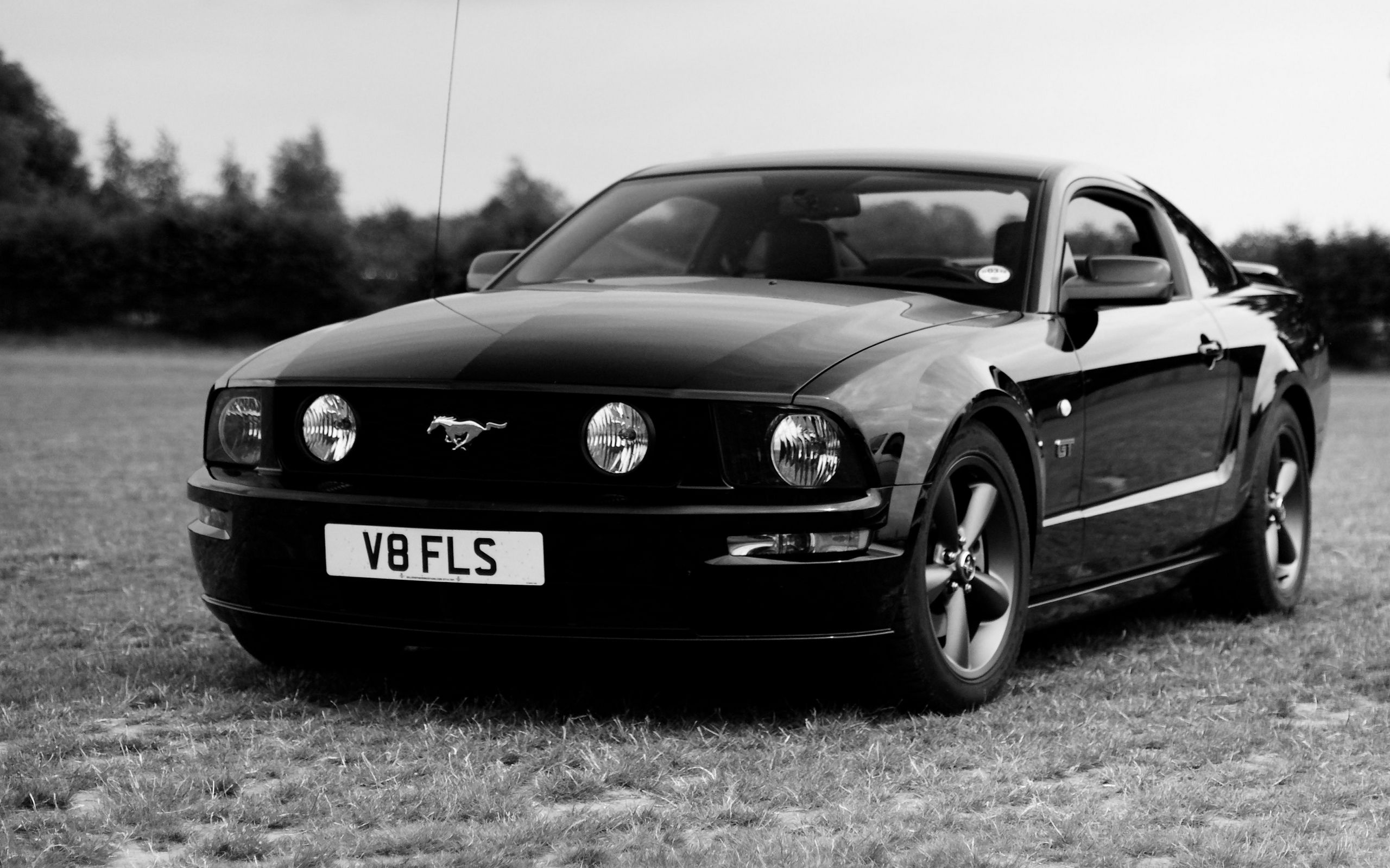 1972 ford mustang