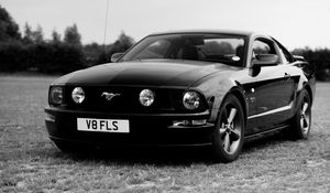 Превью обои ford mustang, ford, автомобиль, черный, поле, черно-белый