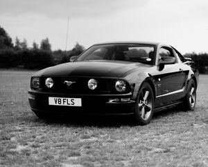 Превью обои ford mustang, ford, автомобиль, черный, поле, черно-белый