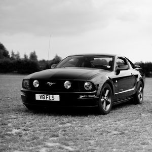 Превью обои ford mustang, ford, автомобиль, черный, поле, черно-белый