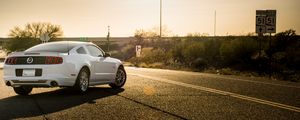 Превью обои ford mustang, ford, автомобиль, вид сзади, асфальт
