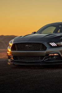 Превью обои ford mustang, ford, бампер, серый, закат