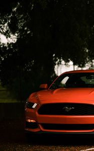 Превью обои ford mustang, ford, машина, спорткар, красный, вид спереди