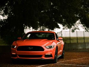 Превью обои ford mustang, ford, машина, спорткар, красный, вид спереди