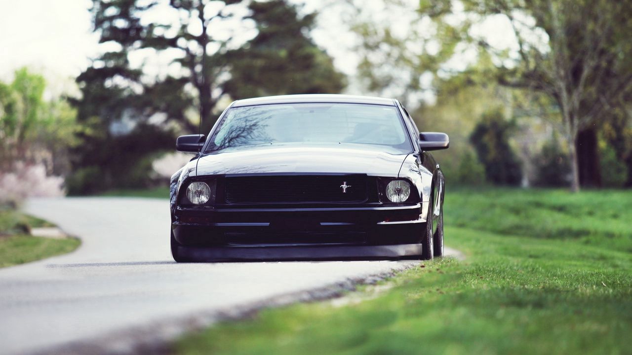 Обои ford, mustang, ford mustang shelby gt500, shelby gt500