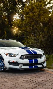 Превью обои ford mustang gt350, ford, машина, спорткар, белый, вид сбоку