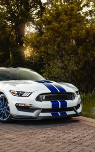 Превью обои ford mustang gt350, ford, машина, спорткар, белый, вид сбоку