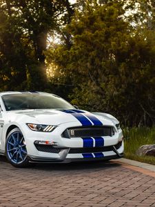 Превью обои ford mustang gt350, ford, машина, спорткар, белый, вид сбоку