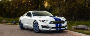 Превью обои ford mustang gt350, ford, машина, спорткар, белый, вид сбоку