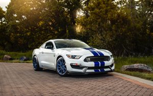 Превью обои ford mustang gt350, ford, машина, спорткар, белый, вид сбоку