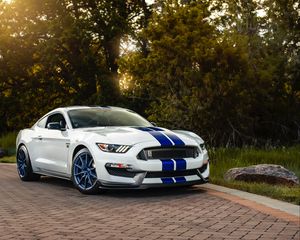 Превью обои ford mustang gt350, ford, машина, спорткар, белый, вид сбоку