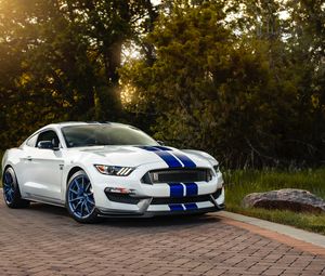 Превью обои ford mustang gt350, ford, машина, спорткар, белый, вид сбоку