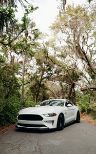 Превью обои ford mustang, mustang, автомобиль, спорткар, белый