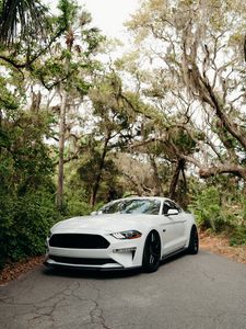 Превью обои ford mustang, mustang, автомобиль, спорткар, белый