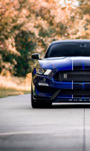 Превью обои ford mustang, mustang, автомобиль, синий, дорога