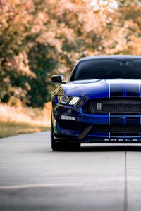 Превью обои ford mustang, mustang, автомобиль, синий, дорога