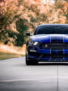 Превью обои ford mustang, mustang, автомобиль, синий, дорога