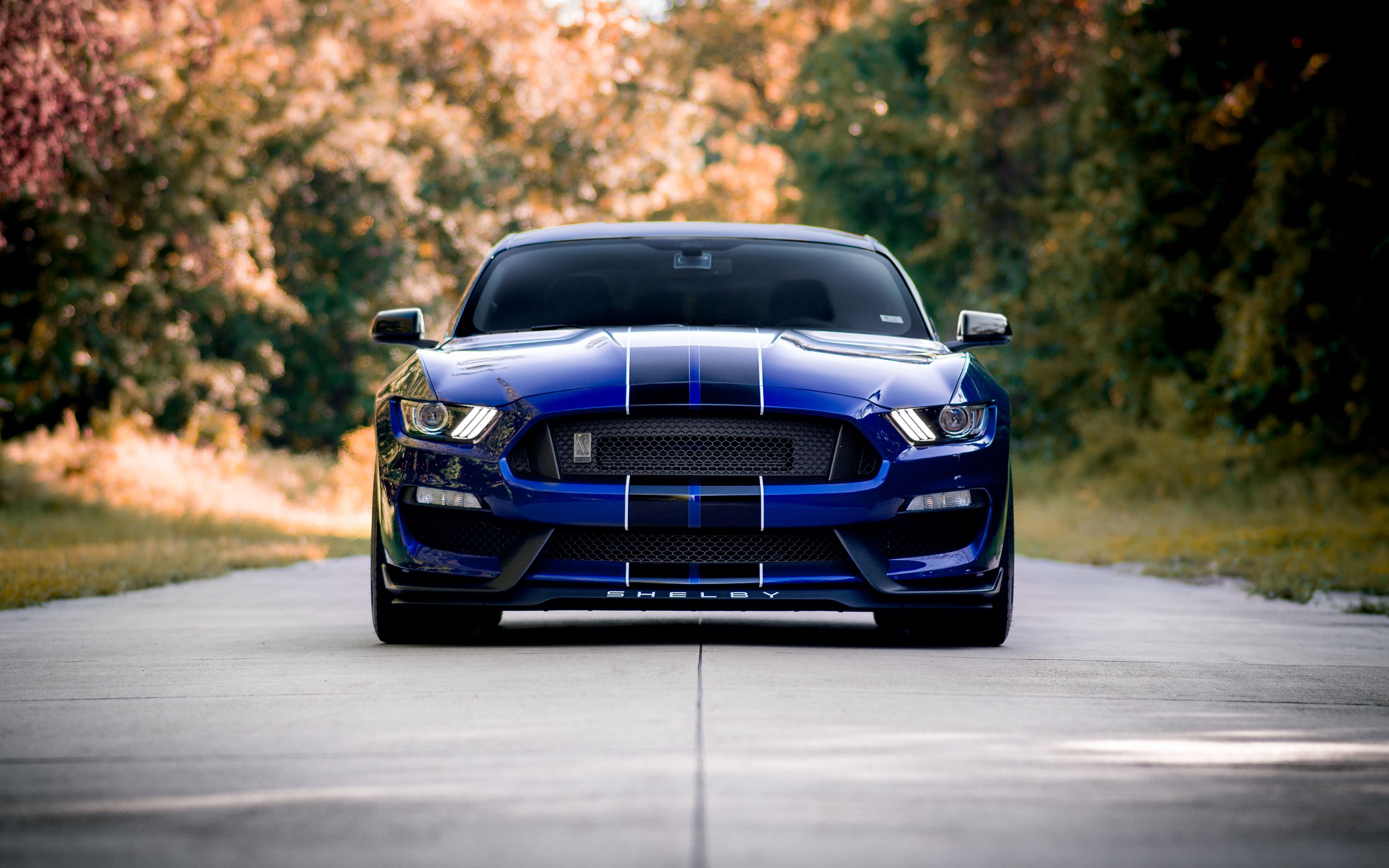 Shelby Mustang HD 4k 16С…9