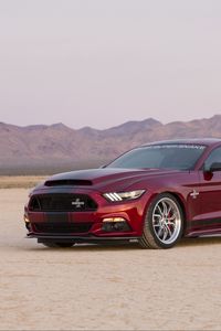 Превью обои ford, mustang, shelby, вид сбоку