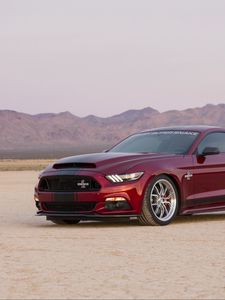 Превью обои ford, mustang, shelby, вид сбоку