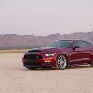 Превью обои ford, mustang, shelby, вид сбоку