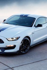 Превью обои ford mustang, shelby, спорткар