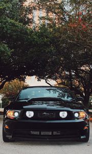 Превью обои ford mustang, спорткар, вид спереди, черный, деревья