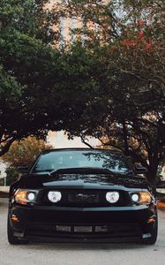 Превью обои ford mustang, спорткар, вид спереди, черный, деревья