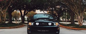 Превью обои ford mustang, спорткар, вид спереди, черный, деревья